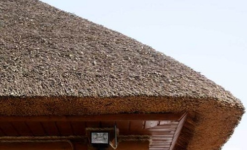 Соломенная крыша – удобно, необычно и дешево