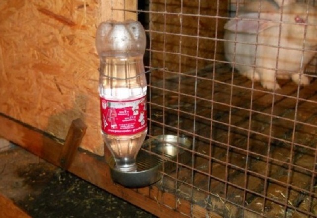 Самодельная вакуумная поилка из консервной банки и пластиковой бутылки
