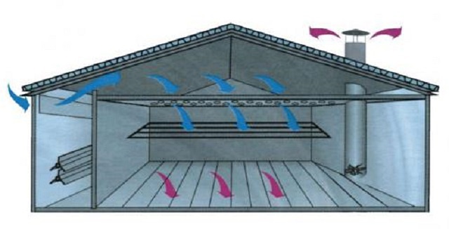 Схема потолочно-распределительной вентиляционной системы свинарника
