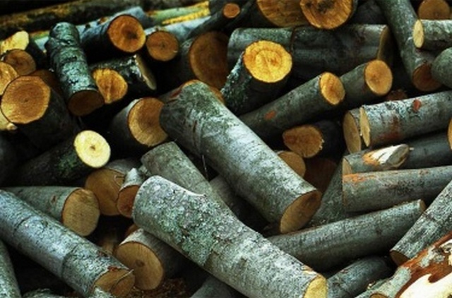 Ольховые дрова - обычно выделяются на общем фоне яркими расцветками на срезе
