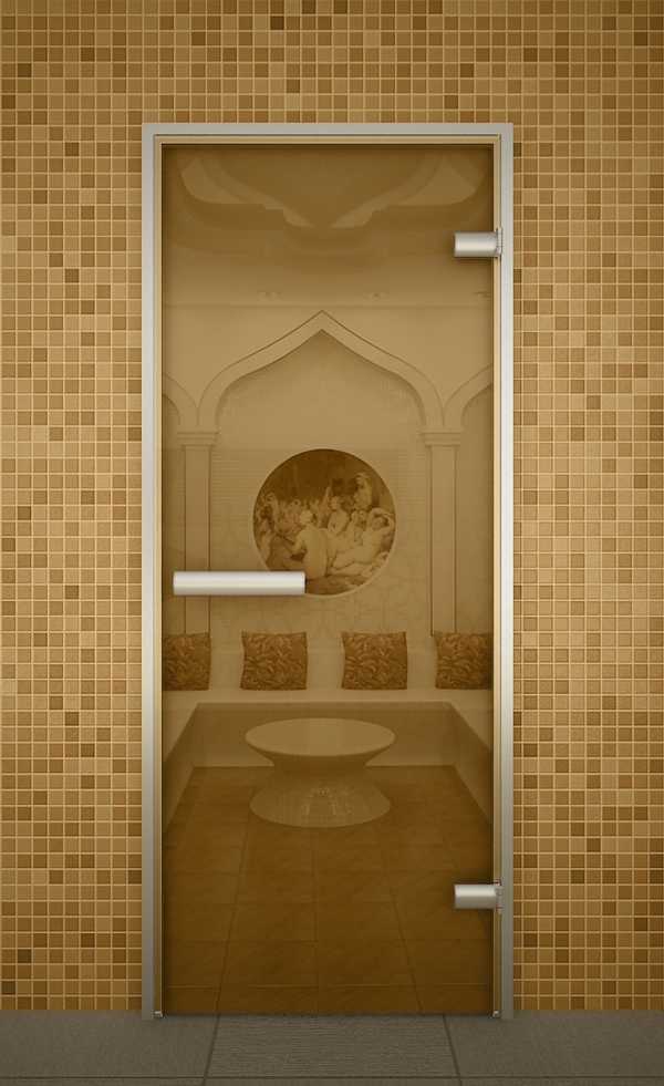 Стеклянные двери для бани и сауны: выбор и установка