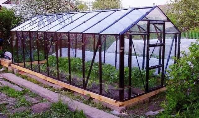 Традиционно для создания прозрачных стен и крыши широко применяется стекло